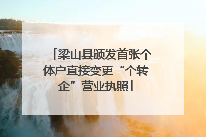 梁山县颁发首张个体户直接变更“个转企”营业执照